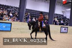 21_BUCK_02354 thumbnail