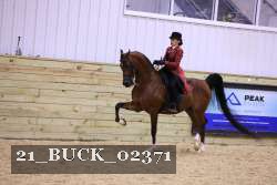 21_BUCK_02371 thumbnail