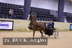 21_BUCK_02480 thumbnail