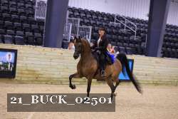 21_BUCK_02501 thumbnail