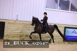 21_BUCK_02617 thumbnail