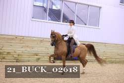 21_BUCK_02618 thumbnail