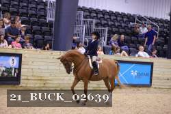 21_BUCK_02639 thumbnail