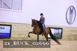 21_BUCK_02696 thumbnail
