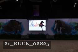 21_BUCK_02825 thumbnail