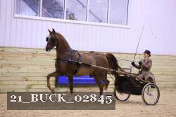 21_BUCK_02845 thumbnail