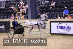 21_BUCK_02851 thumbnail
