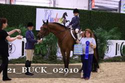 21_BUCK_02910 thumbnail