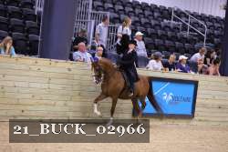 21_BUCK_02966 thumbnail