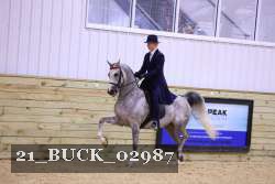 21_BUCK_02987 thumbnail