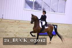 21_BUCK_03012 thumbnail