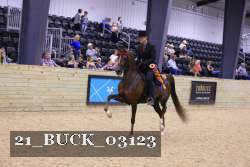 21_BUCK_03123 thumbnail