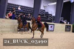 21_BUCK_03190 thumbnail