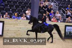 21_BUCK_03197 thumbnail