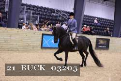 21_BUCK_03205 thumbnail