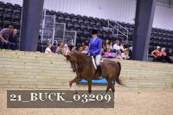 21_BUCK_03209 thumbnail