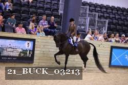 21_BUCK_03213 thumbnail