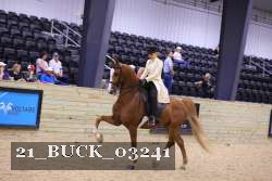 21_BUCK_03241 thumbnail