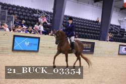 21_BUCK_03354 thumbnail