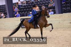 21_BUCK_03539 thumbnail
