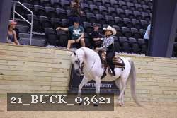 21_BUCK_03621 thumbnail