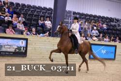 21_BUCK_03711 thumbnail