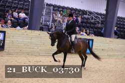 21_BUCK_03730 thumbnail