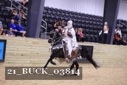 21_BUCK_03814 thumbnail