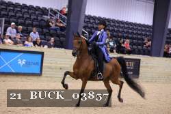 21_BUCK_03857 thumbnail