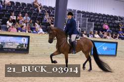 21_BUCK_03914 thumbnail