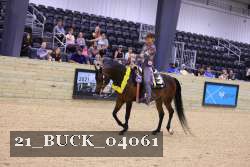 21_BUCK_04061 thumbnail