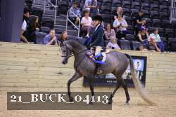 21_BUCK_04113 thumbnail