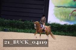 21_BUCK_04119 thumbnail