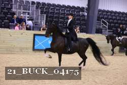 21_BUCK_04175 thumbnail