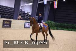 21_BUCK_04221 thumbnail