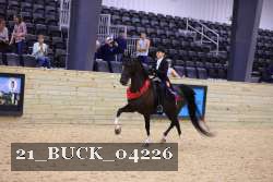 21_BUCK_04226 thumbnail