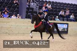 21_BUCK_04227 thumbnail