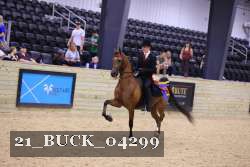 21_BUCK_04299 thumbnail