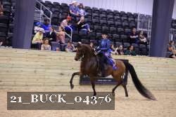 21_BUCK_04376 thumbnail