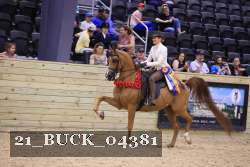 21_BUCK_04381 thumbnail