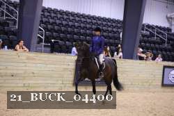 21_BUCK_04400 thumbnail