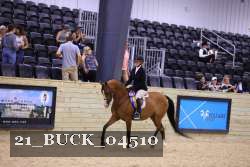 21_BUCK_04510 thumbnail