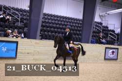 21_BUCK_04513 thumbnail