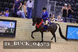 21_BUCK_04575 thumbnail