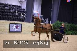 21_BUCK_04813 thumbnail