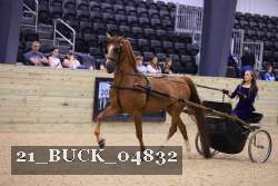 21_BUCK_04832 thumbnail