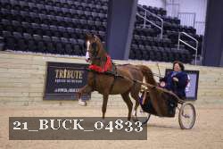 21_BUCK_04833 thumbnail