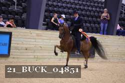 21_BUCK_04851 thumbnail
