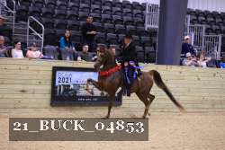 21_BUCK_04853 thumbnail