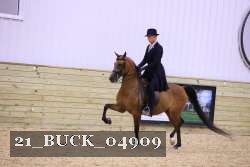 21_BUCK_04909 thumbnail